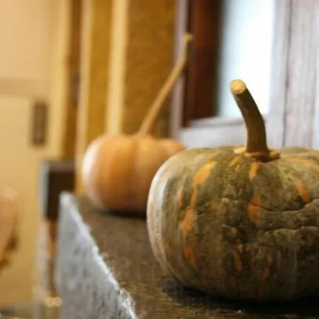 Gasthuis Torre De Guzman